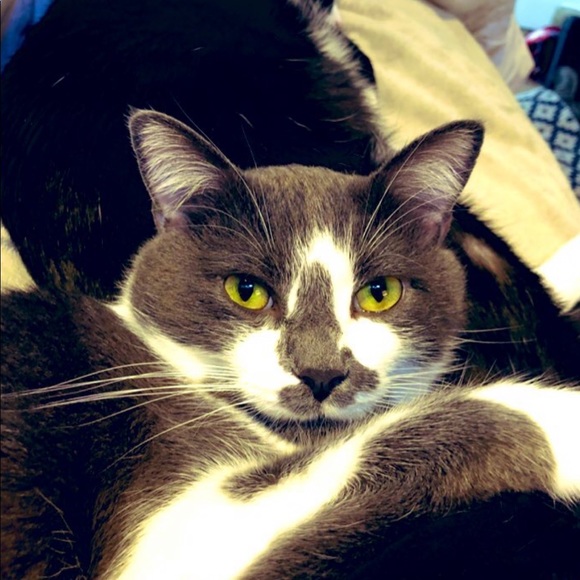 Meet Your Posher - Picture 3 of 7